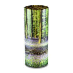 Bluebell Wood Scatter Tube - Large