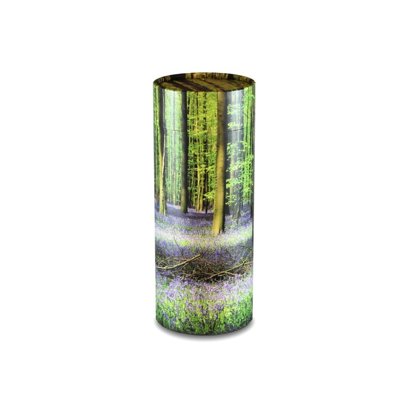 Bluebell Wood Scatter Tube - Large